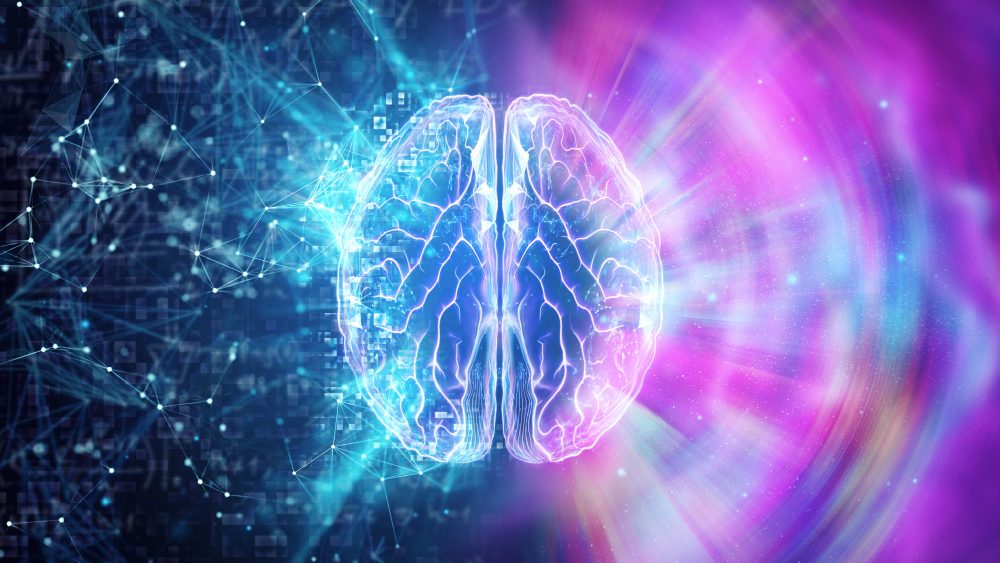 human-brain-blue-background-hemisphere-is-responsible-logic